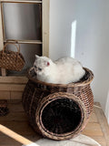 AureoPets™ 2-Tier Vintage Wicker Cat House – Luxury Handwoven Willow & Rattan Bunk Bed Condo
