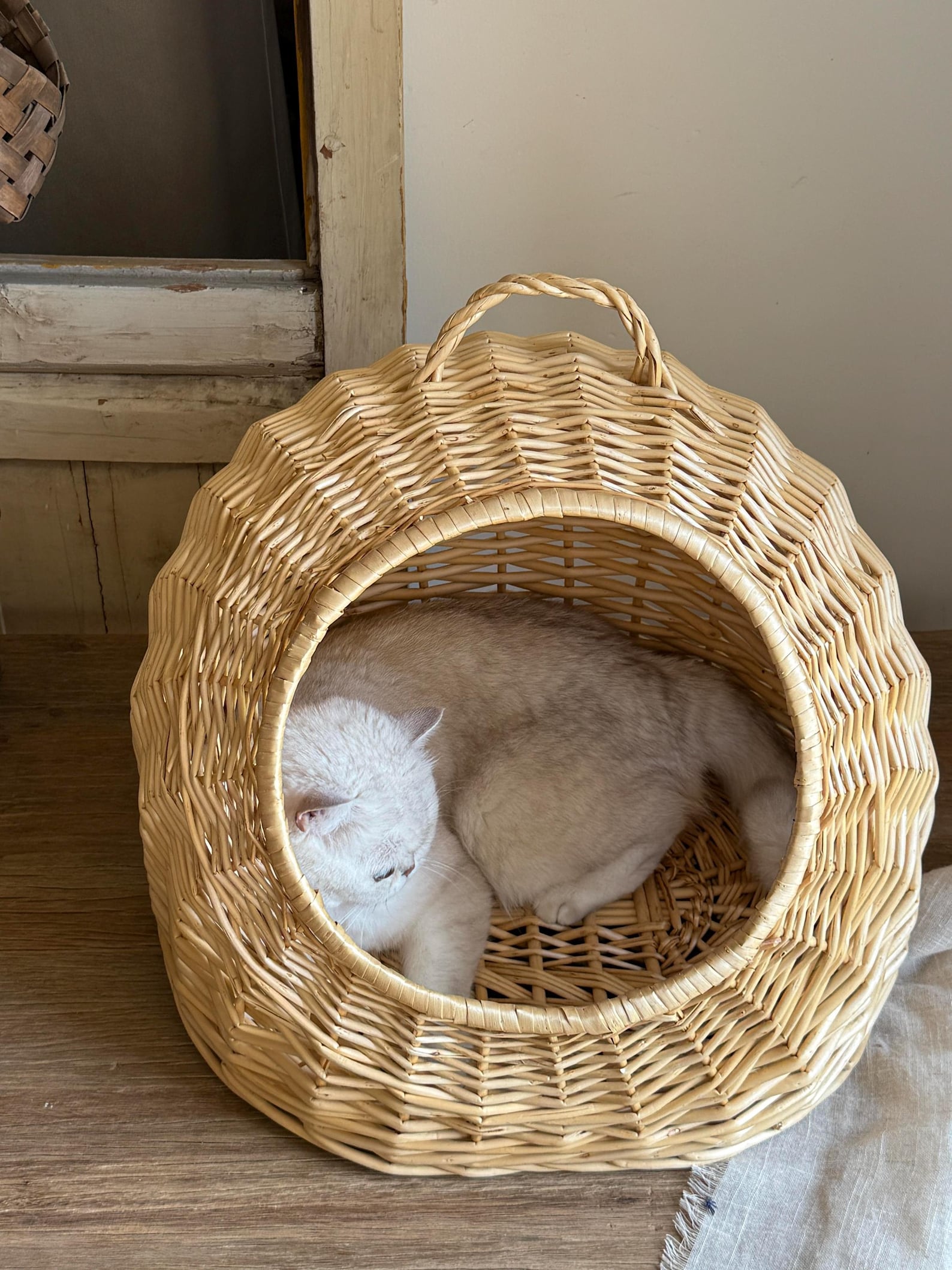 AureoPets™ Large Wicker Cat Head Cave – Luxury Handwoven Willow Sanctuary Bed for Big & Chubby Cats