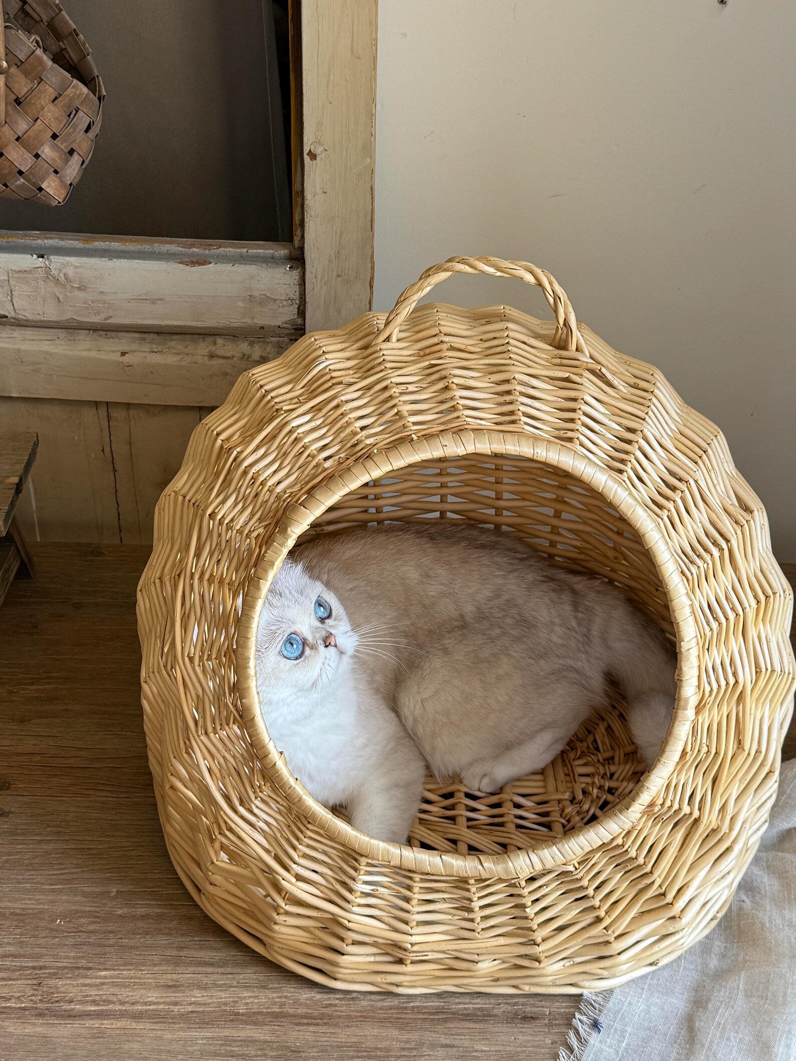 AureoPets™ Large Wicker Cat Head Cave – Luxury Handwoven Willow Sanctuary Bed for Big & Chubby Cats